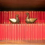 Le Papere In Centro - Downtown Ducks * ジェノヴァ
