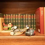 Le Papere In Centro - Downtown Ducks アパート *