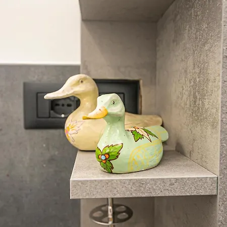 Le Papere In Centro - Downtown Ducks