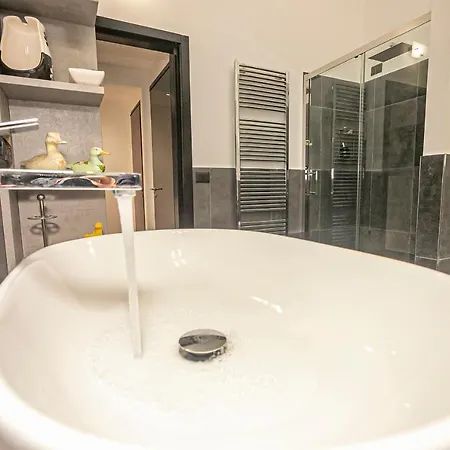 Le Papere In Centro - Downtown Ducks Apartment *