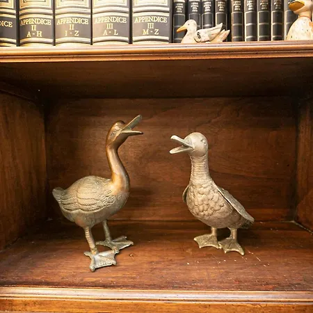 Le Papere In Centro - Downtown Ducks Apartment