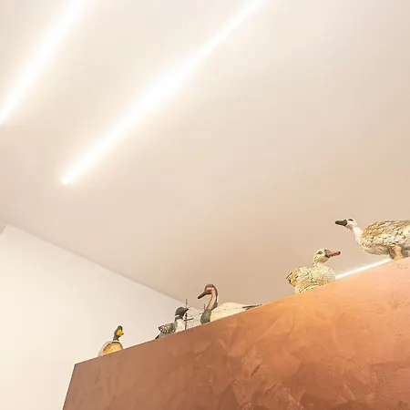 Le Papere In Centro - Downtown Ducks Genova