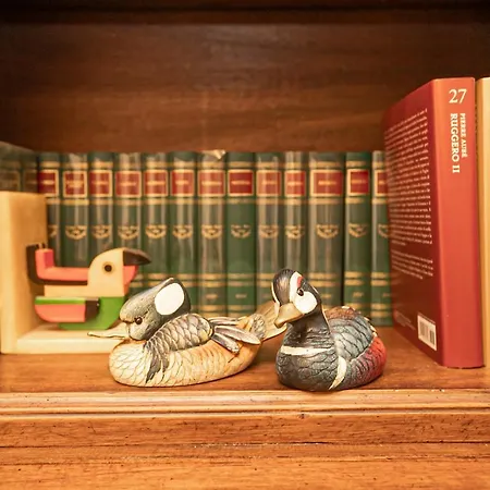 Le Papere In Centro - Downtown Ducks Apartment *